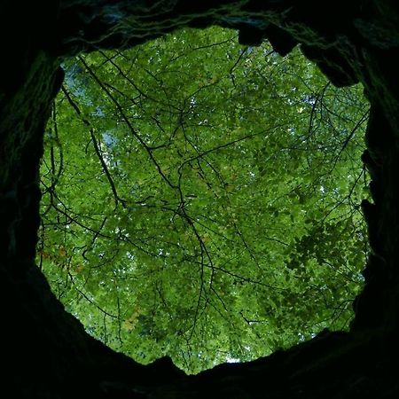 Espaco Origem Sintra Luaran gambar