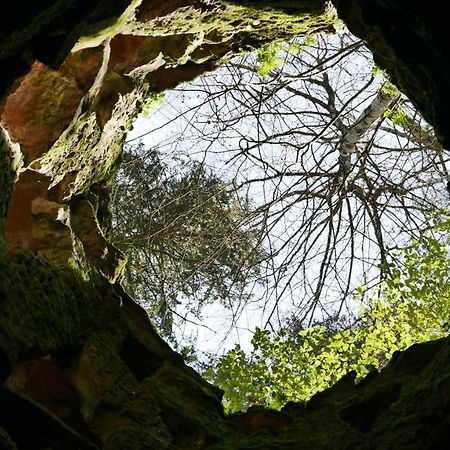 Espaco Origem Sintra Luaran gambar