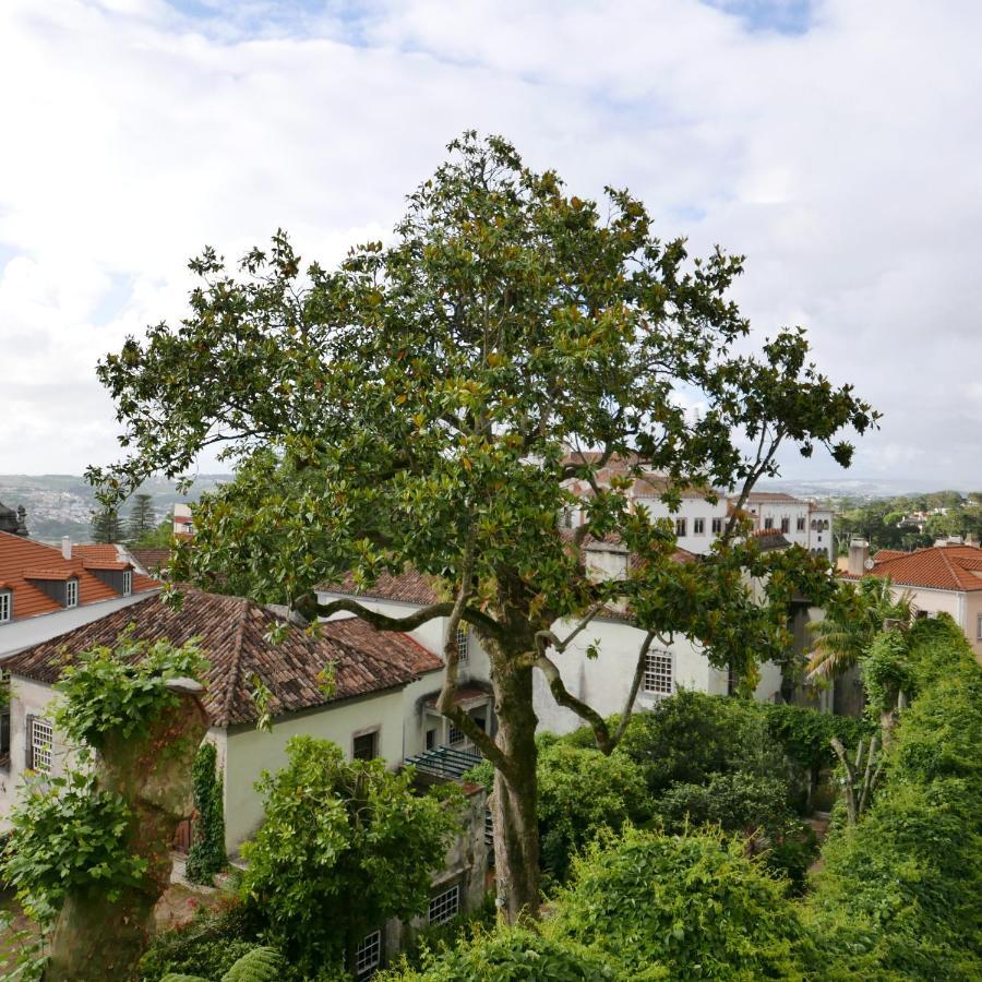 Espaco Origem Sintra Luaran gambar