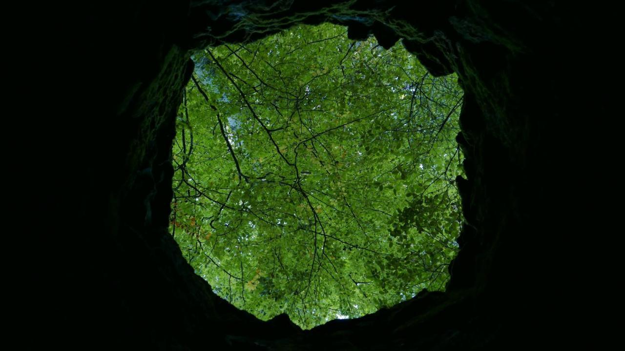 Espaco Origem Sintra Luaran gambar