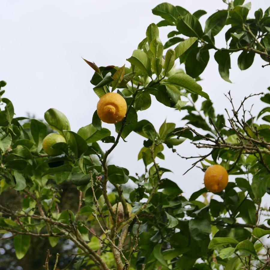 Espaco Origem Sintra Luaran gambar